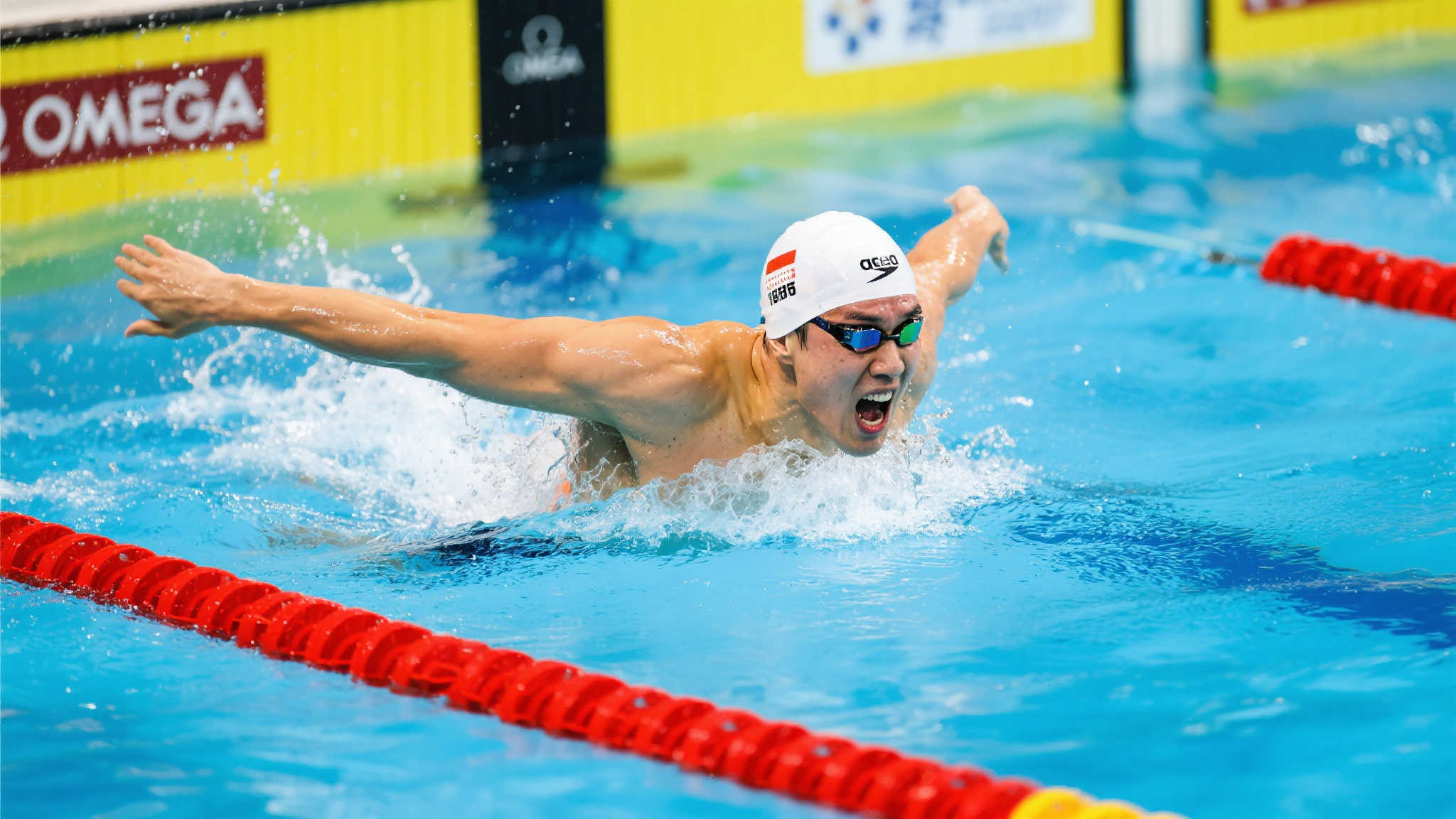 但韋世豪本 但韋世豪本