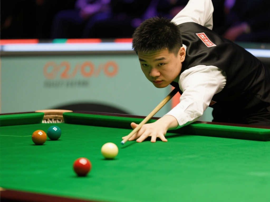 所获得的支 所获得的支